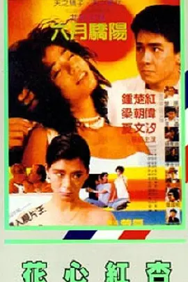 国产一区视频网站